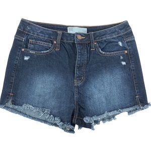RSQ Jeans Vintage High Rise Jean Shorts